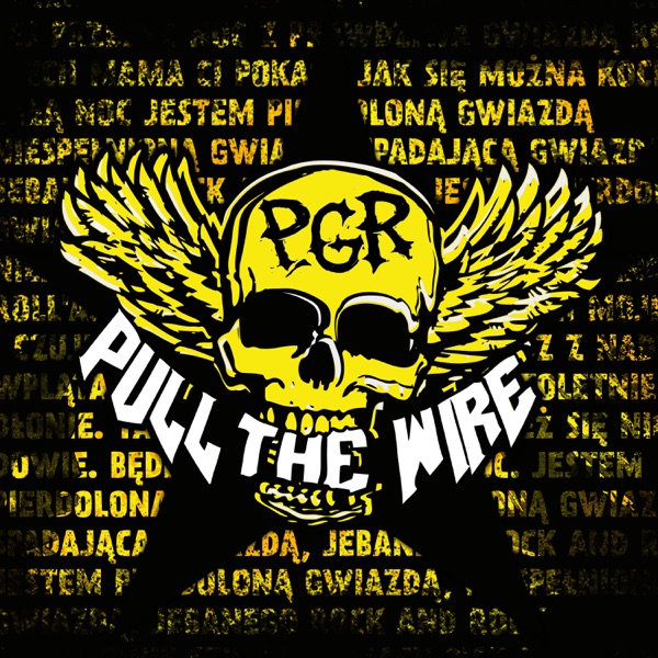 PGR (Radio Edit Live) - Single album cover