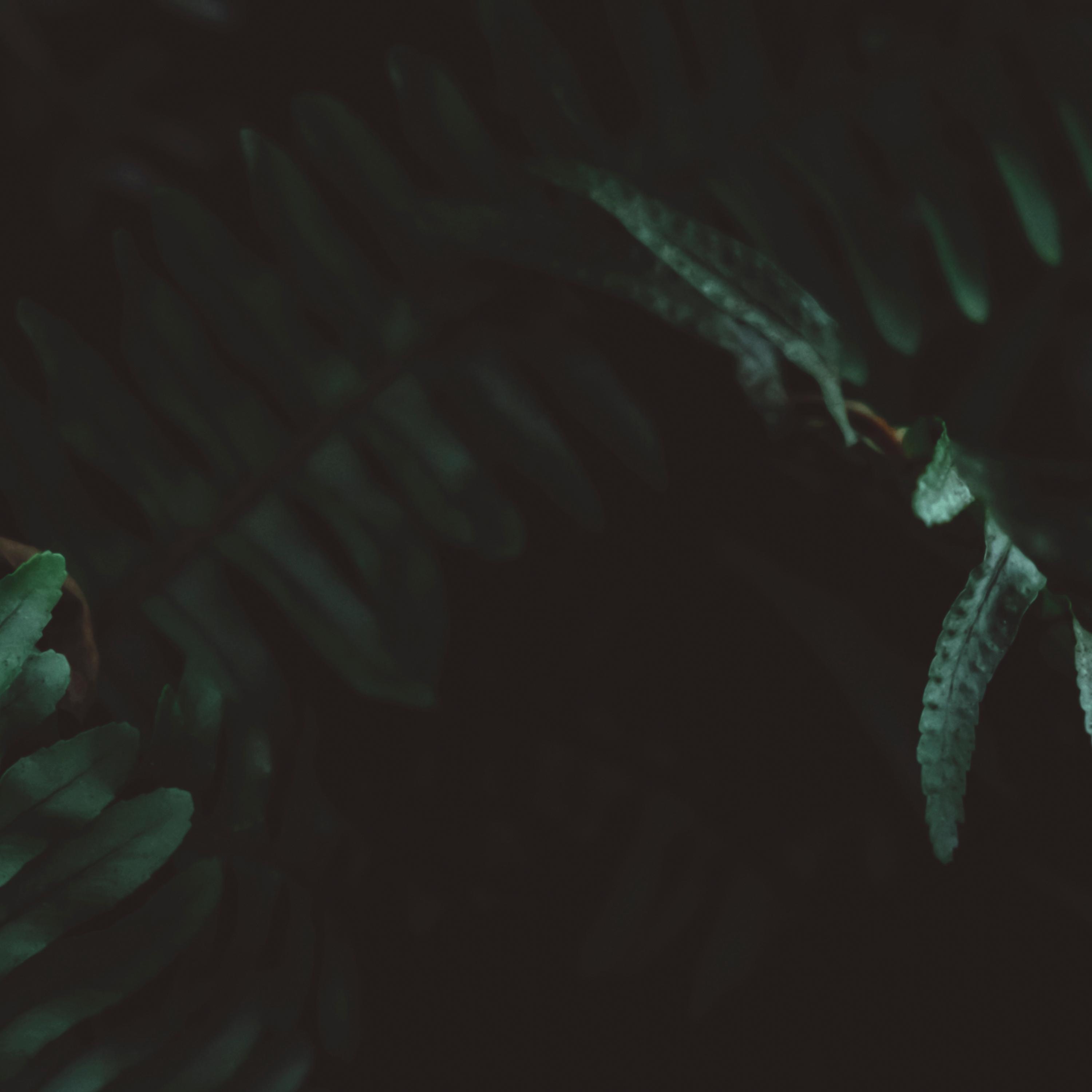 Jade - Single album cover