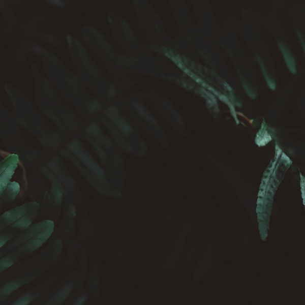 Jade - Single album cover