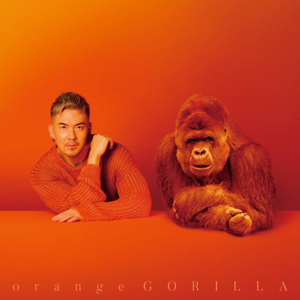 orange GORILLA album cover