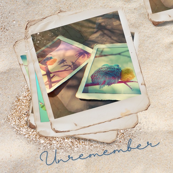 Unremember (Radio Mix) - Single album cover