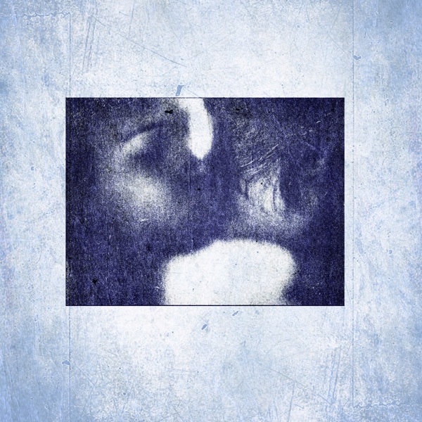 Somebody New Chilled - Single album cover