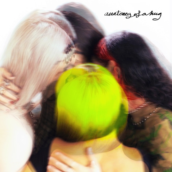 anatomy of a hug - Single album cover