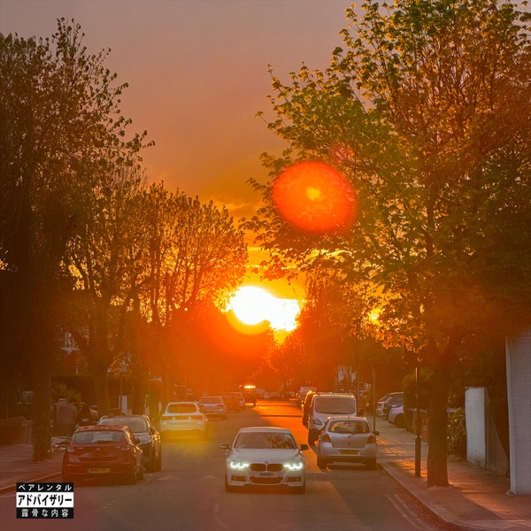 No Vi$ible Means Of Income 3 album cover