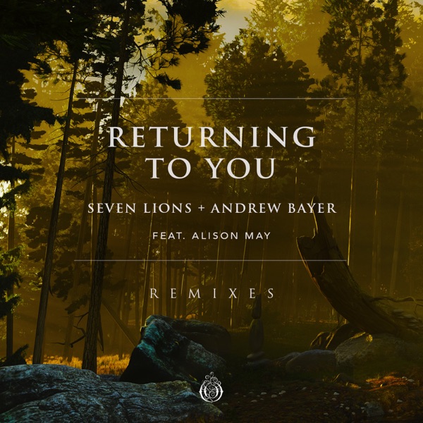 Returning To You Returning To You [Remixes] (feat. Alison May) album cover