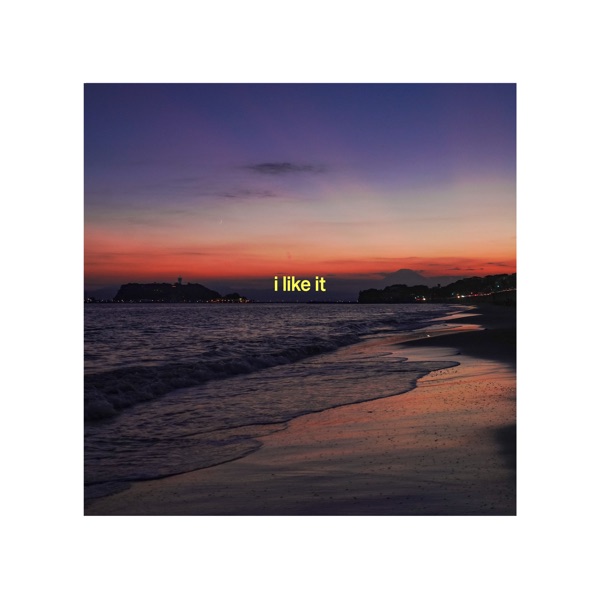 I Like It (feat. Yo-Sea, LEX & IO) - Single album cover