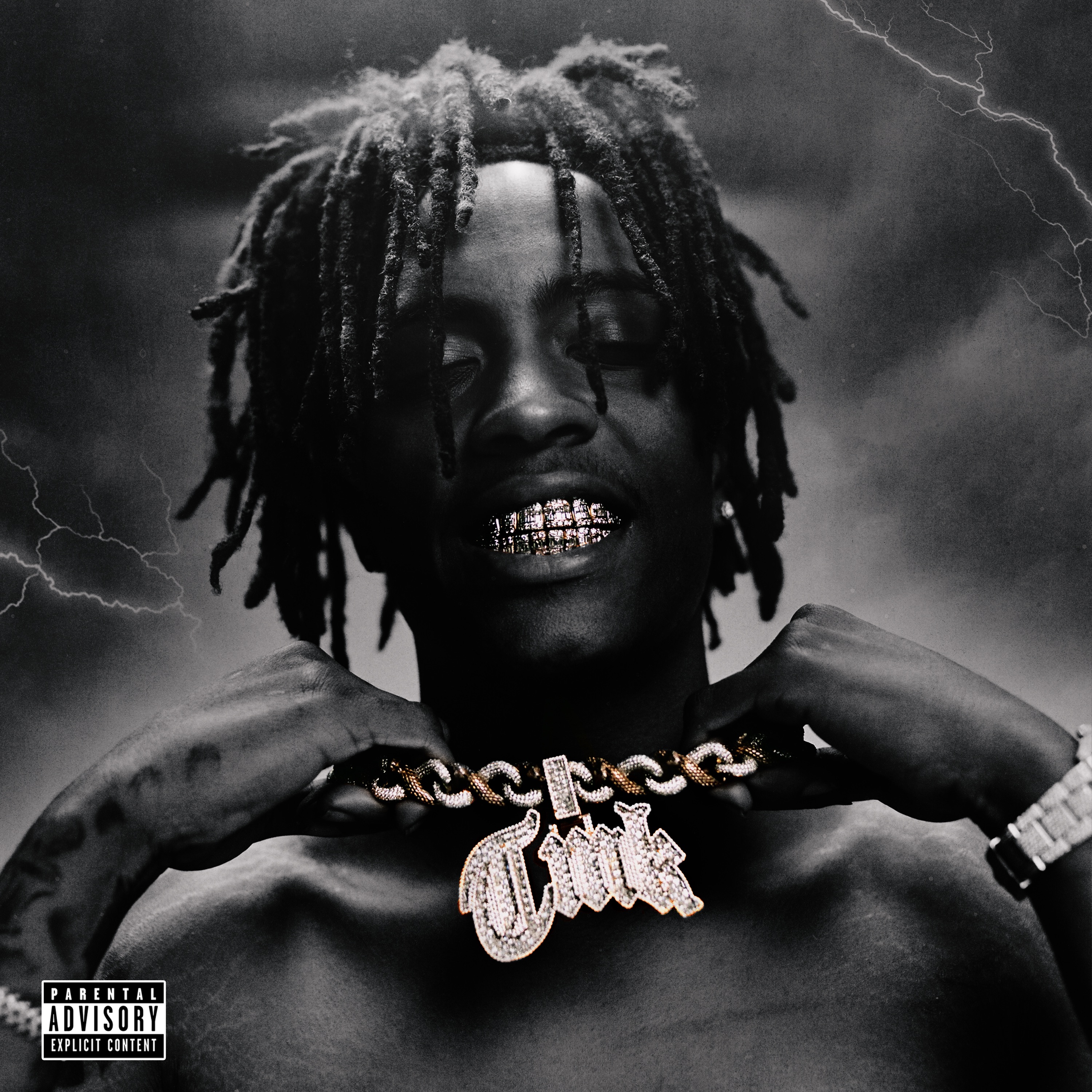 Here to Stay album cover