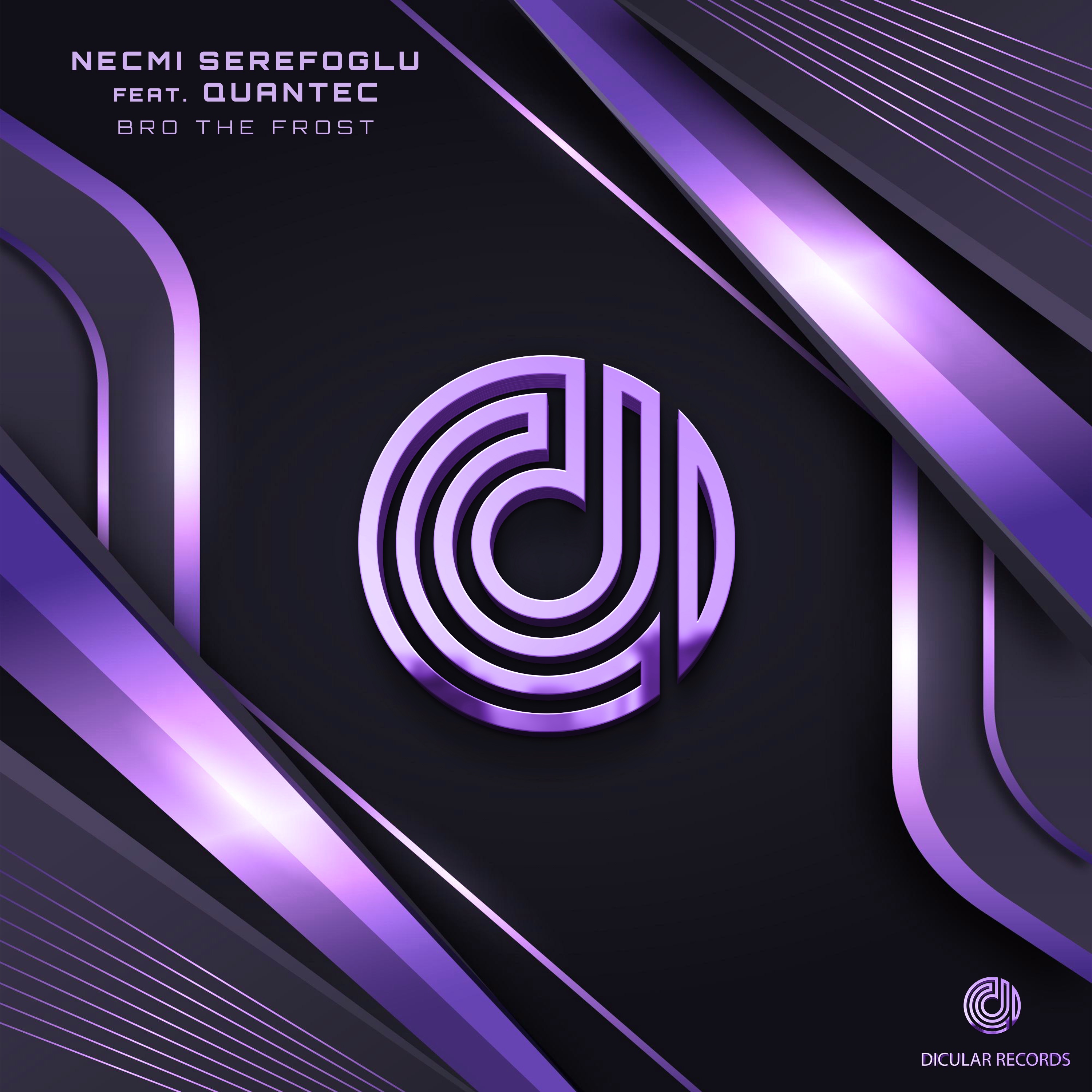 Bro the Frost (feat. Quantec) - Single album cover