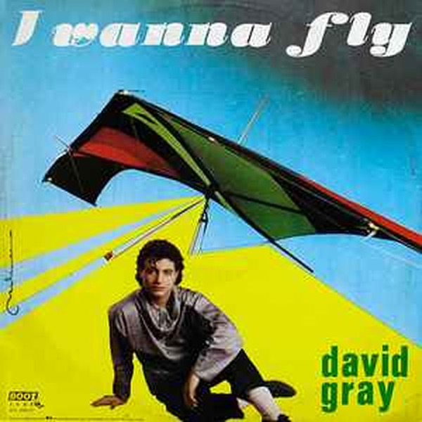 I Wanna Fly - Single album cover