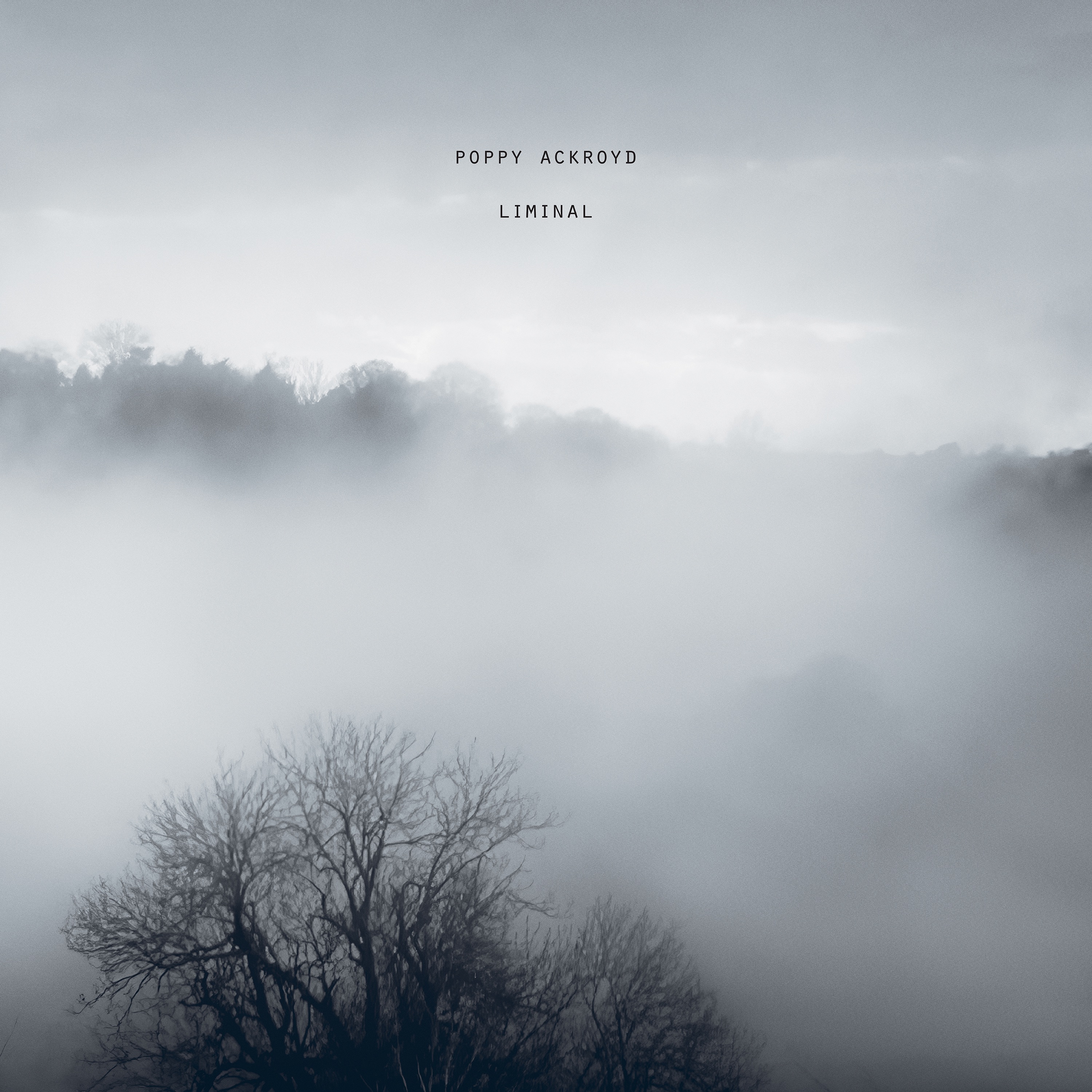 Liminal album cover