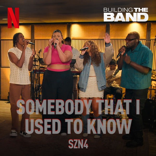 Somebody That I Used to Know (From the Netflix Series "Building the Band") [Live] - Single album cover