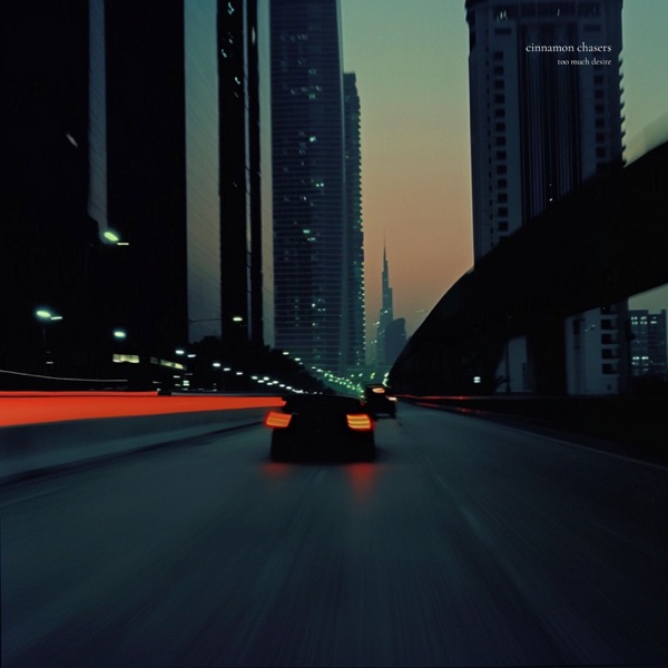 Too Much Desire - Single album cover