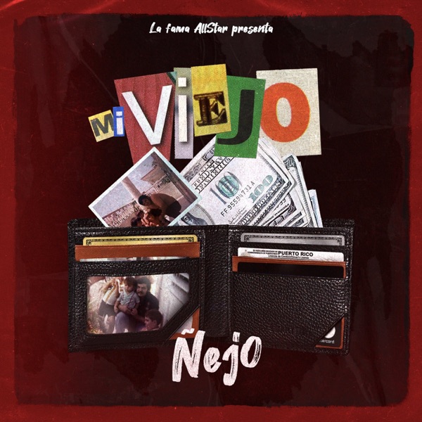 Mi Viejo - Single album cover