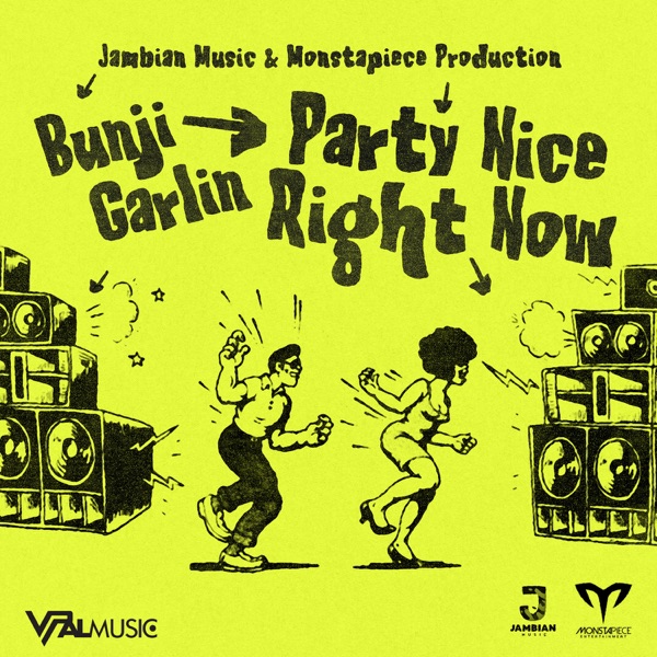 Party Nice Right Now - Single album cover