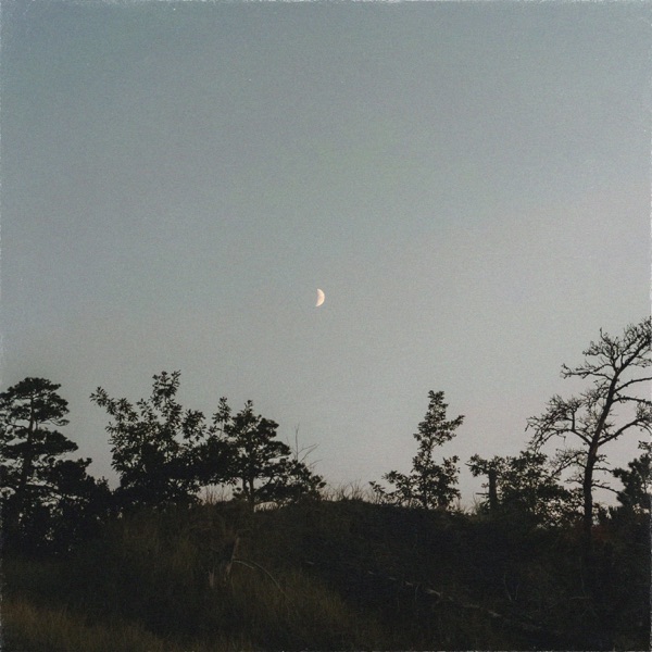 Those Morning Dreams - Single album cover