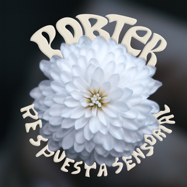 Respuesta Sensorial - Single album cover
