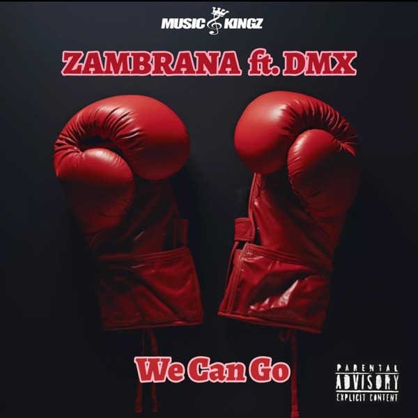 We Can Go (feat. DMX) - Single album cover