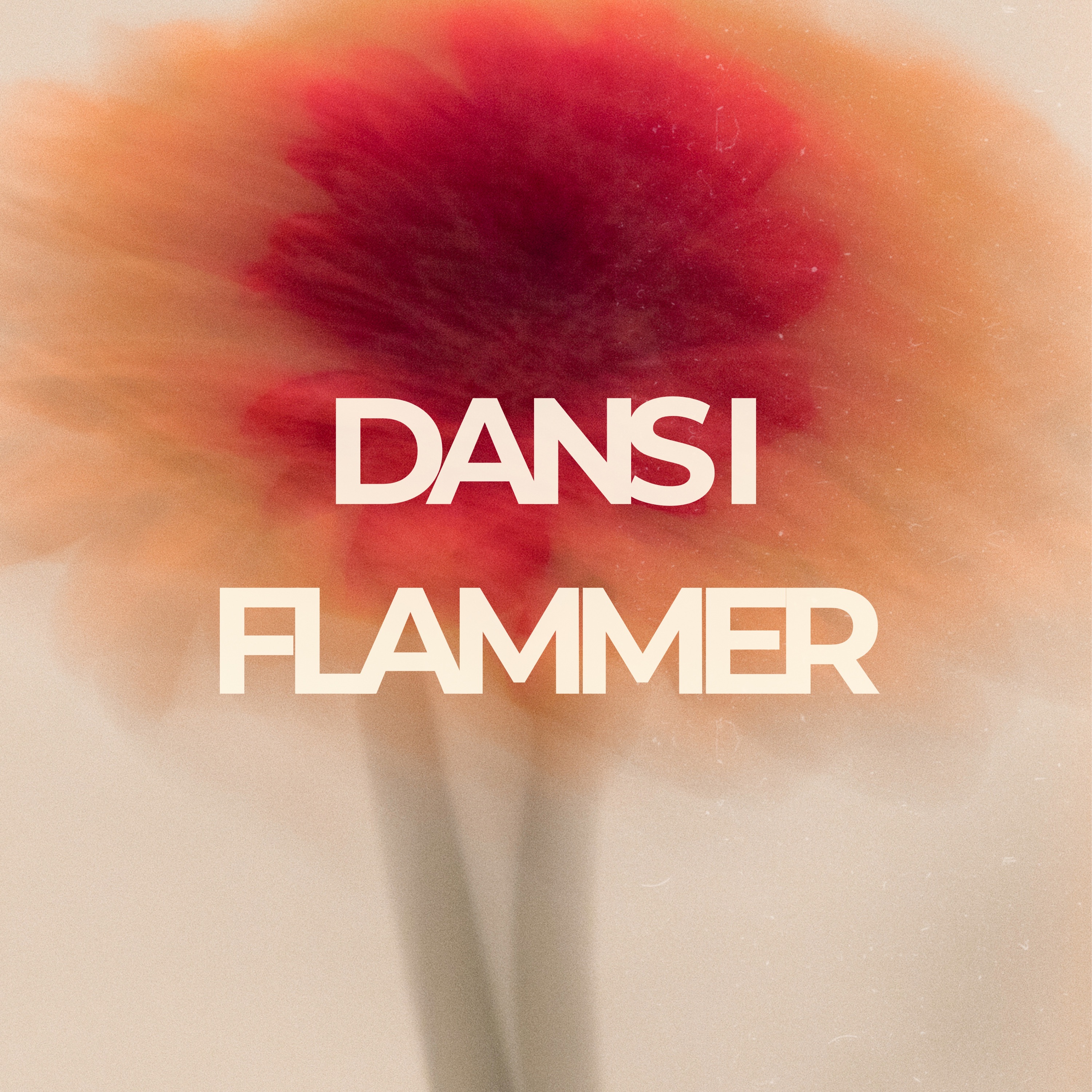 Dans i Flammer - Single album cover