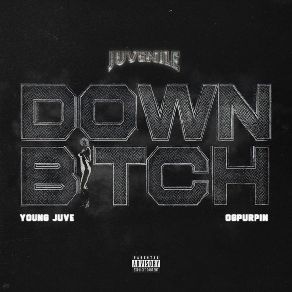 Down Bitch - Single album cover