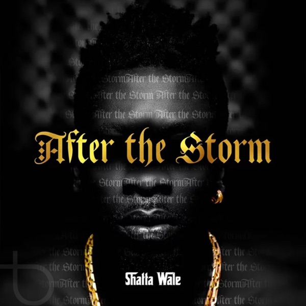 After the Storm album cover