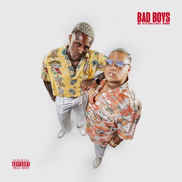 Bad Boys album cover