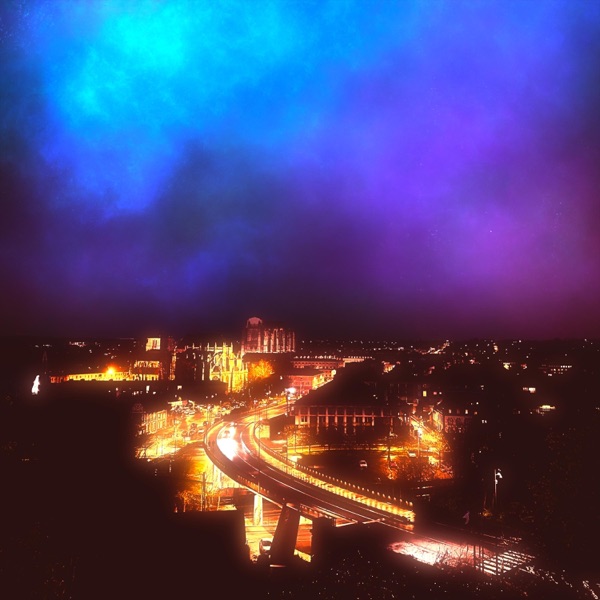 Did You Lose Your Mind - Single album cover