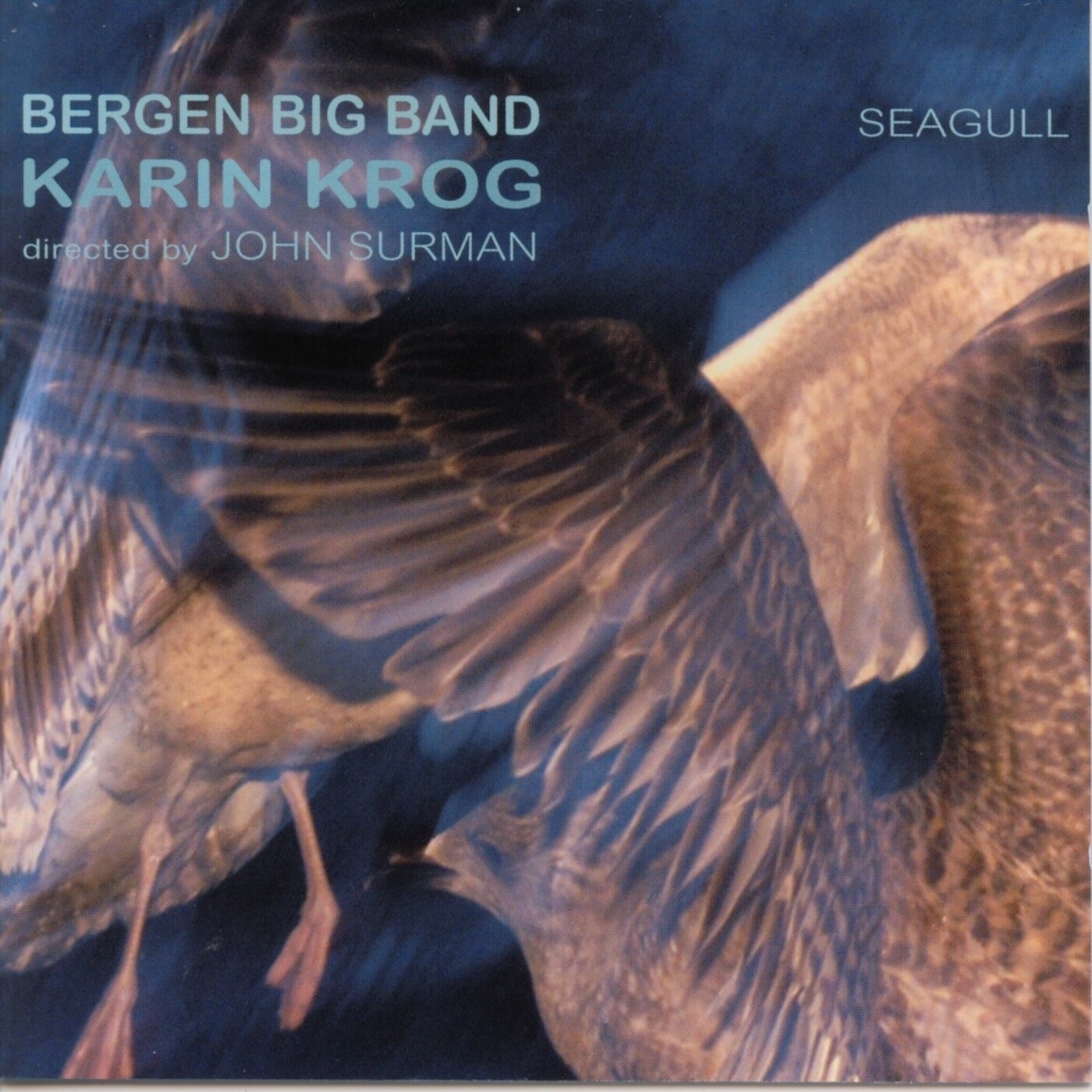 Seagull album cover