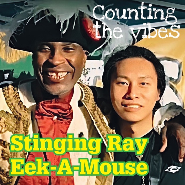 Counting The Vibes - Single album cover