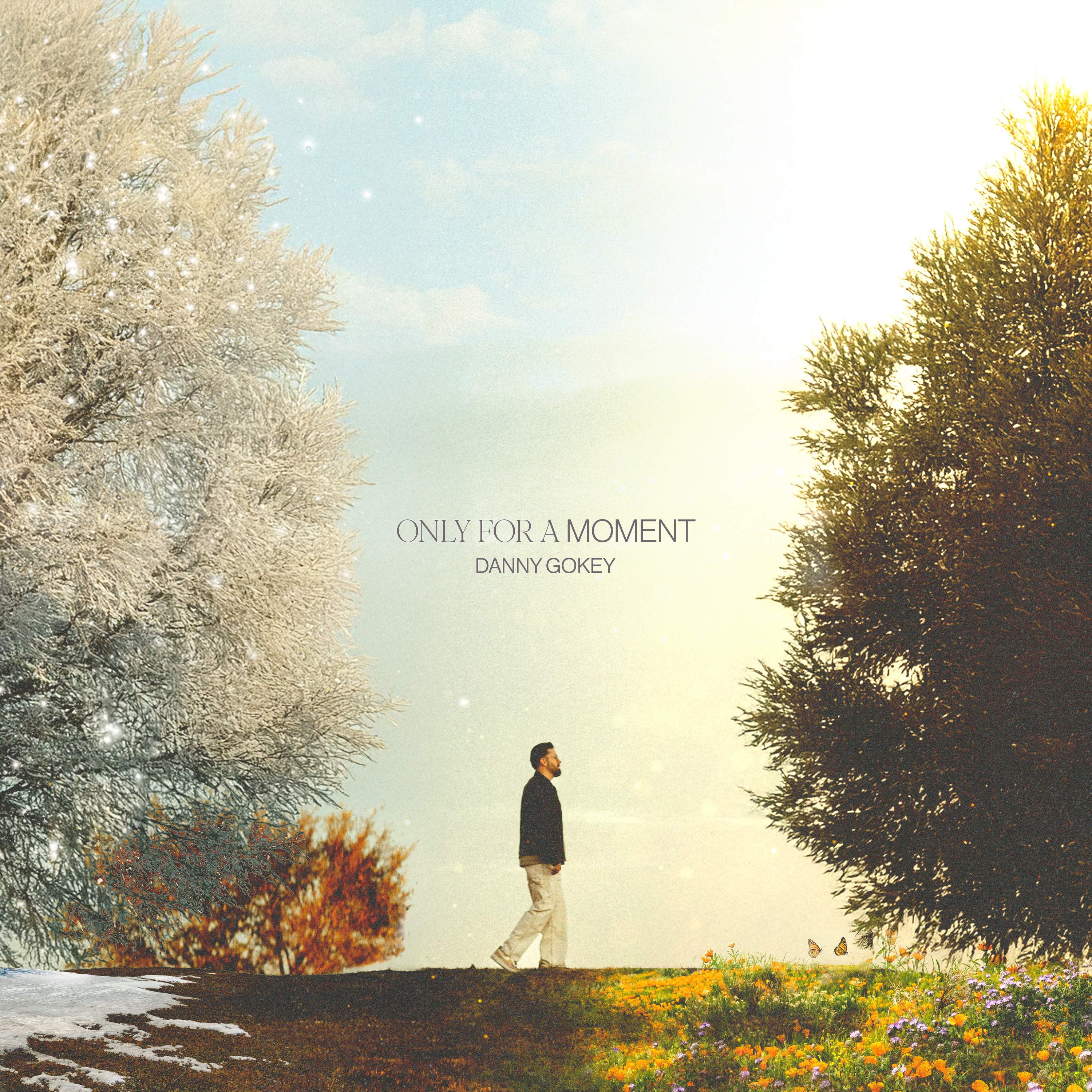 Only For A Moment - Single album cover