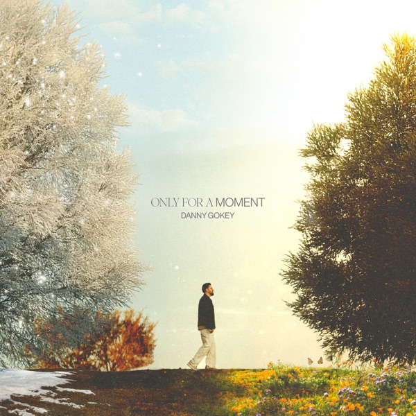 Only For A Moment - Single album cover