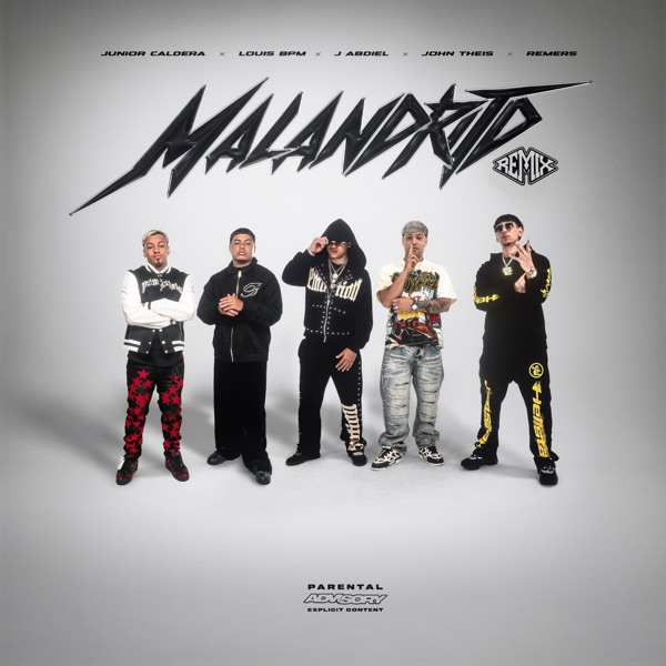 Malandrito (feat. Remers & Animal) [Remix] - Single album cover