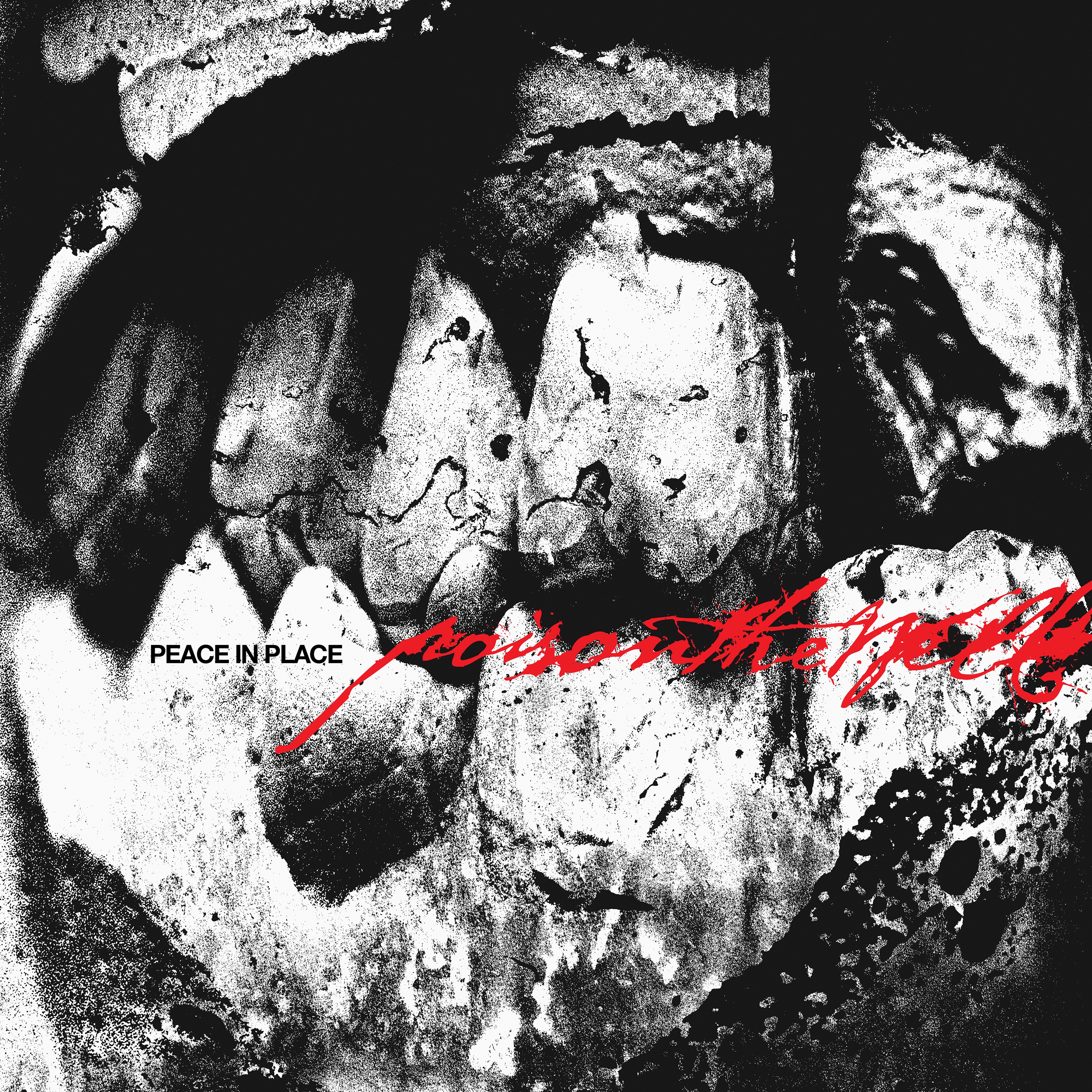 Peace In Place album cover