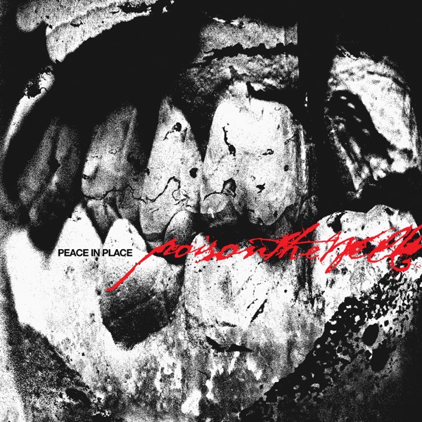 Peace In Place album cover