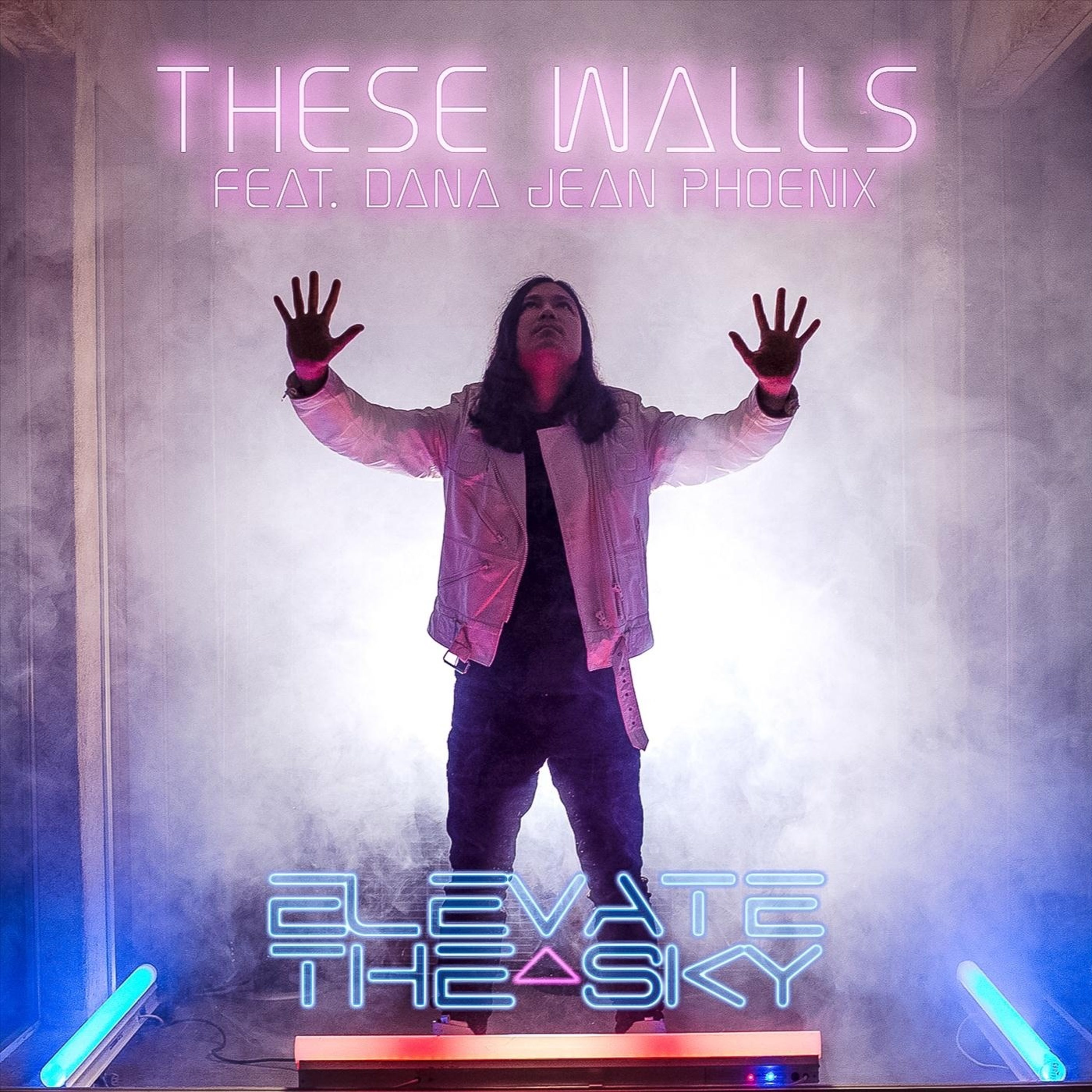 These Walls (feat. Dana Jean Phoenix) - Single album cover
