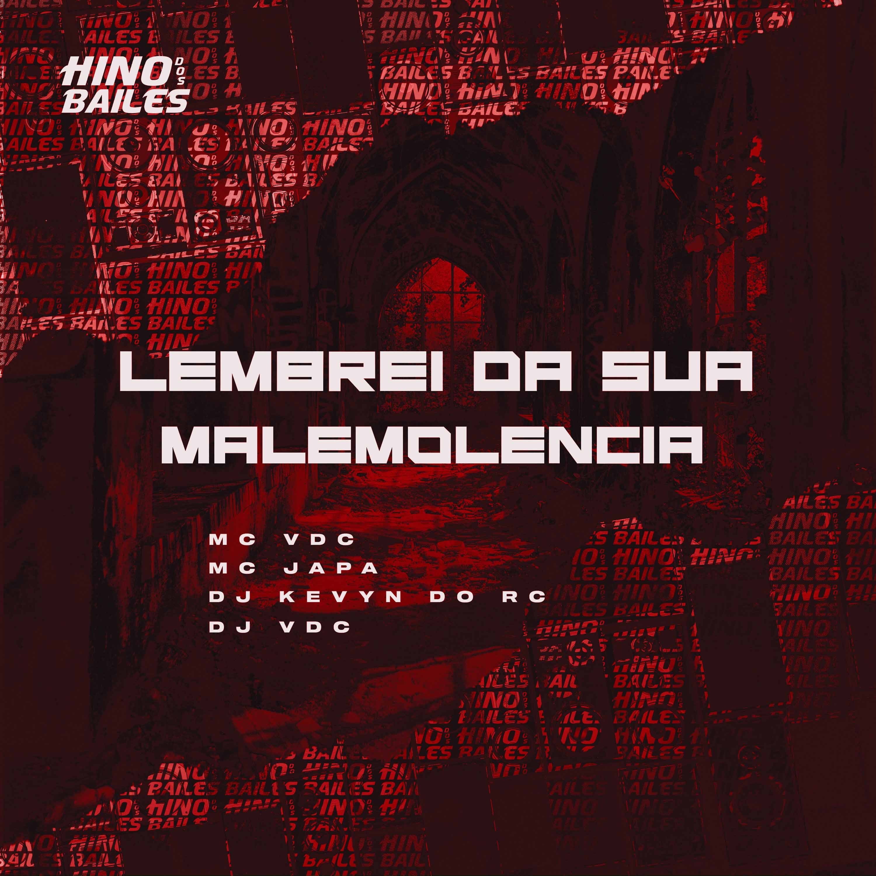 Lembrei da Sua Malemolencia (feat. Mc Japa) - Single album cover