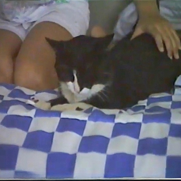 growing old & dying in your sleep album cover