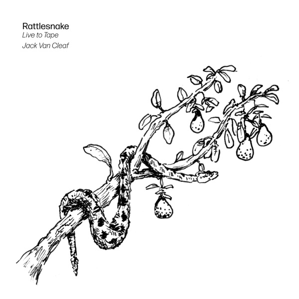 Rattlesnake (Live to Tape) - Single album cover