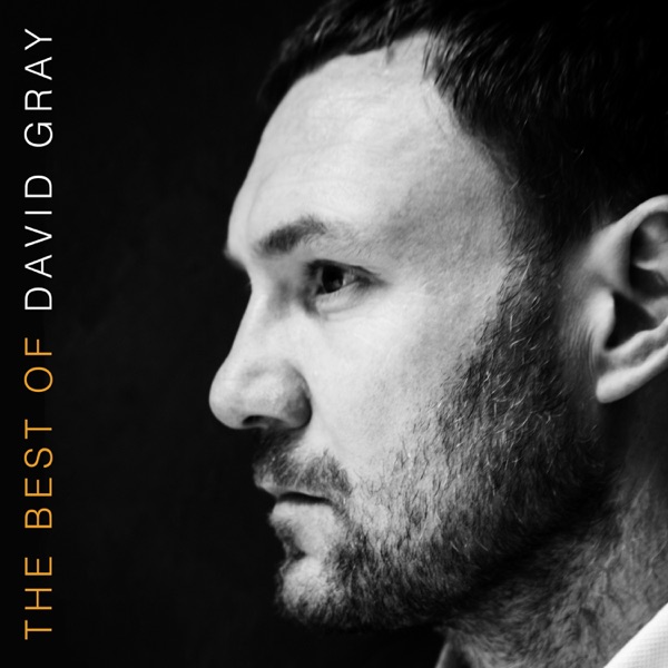 The Best of David Gray (iTunes Version) album cover