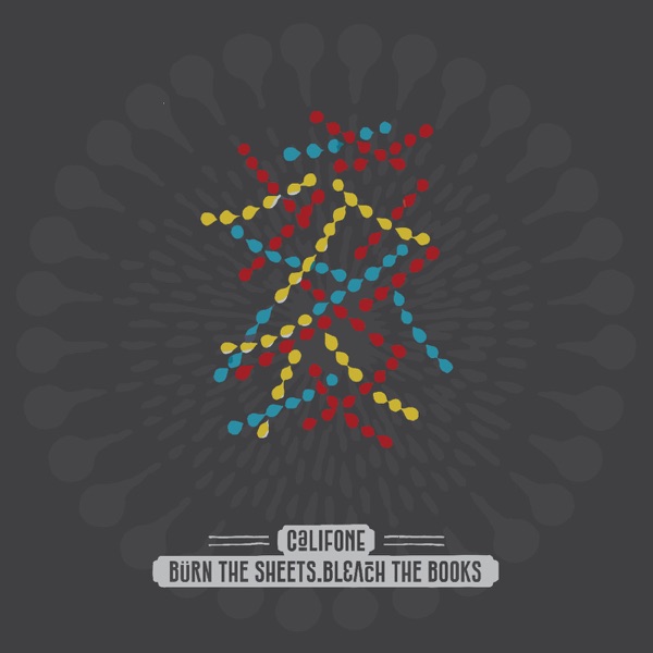 burn the sheets.bleach the books - Single album cover