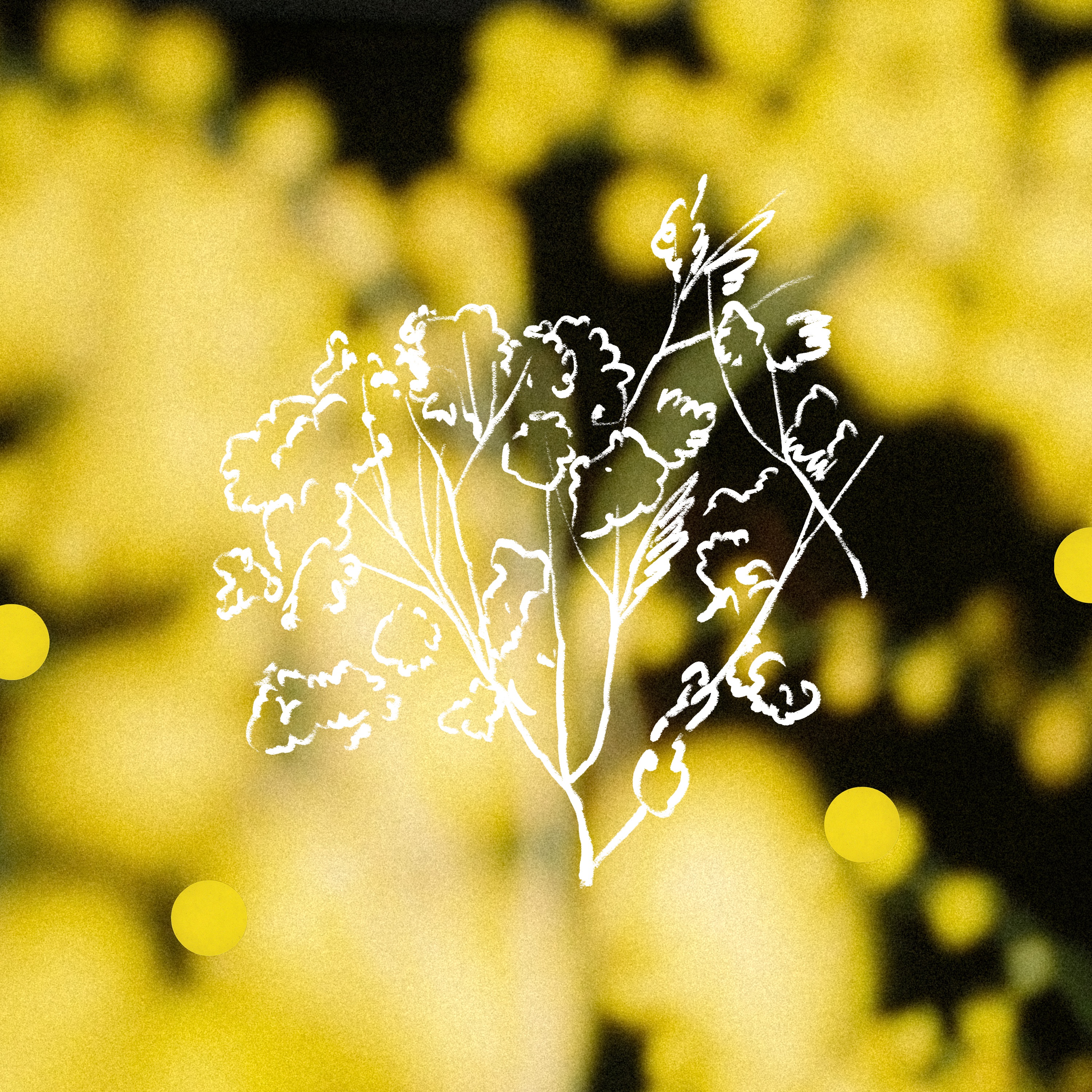 Ventilate (Monkey Safari Remix) - Single album cover