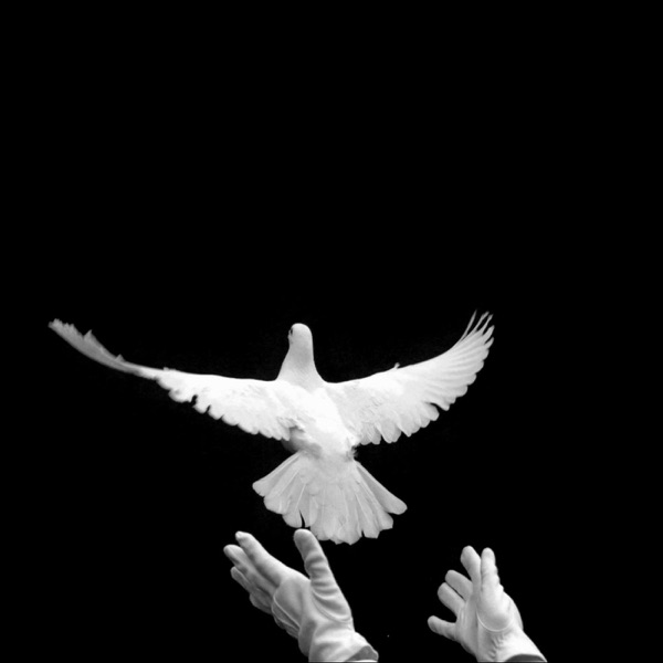 Standing Ovation - Single album cover