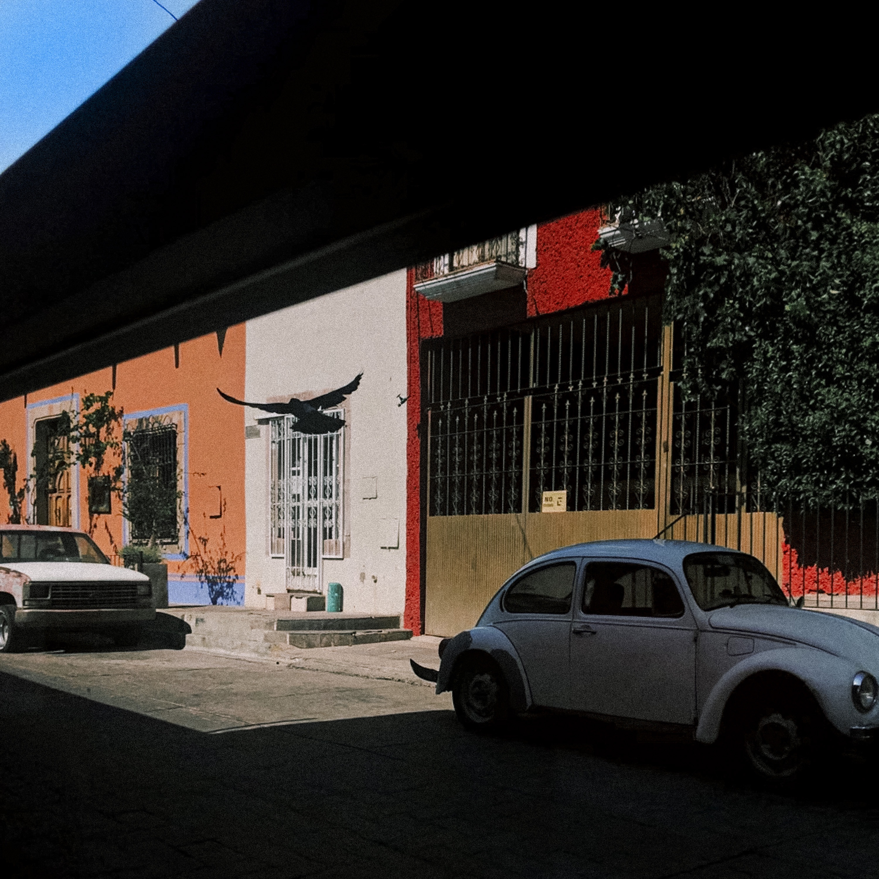 Jacaranda - Single album cover