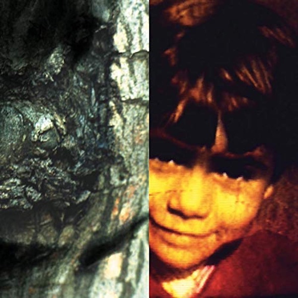 The Waltz of the Monsters: Cascade Street album cover