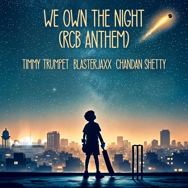 We Own The Night (feat. Chandan Shetty) [RCB Anthem] - Single album cover