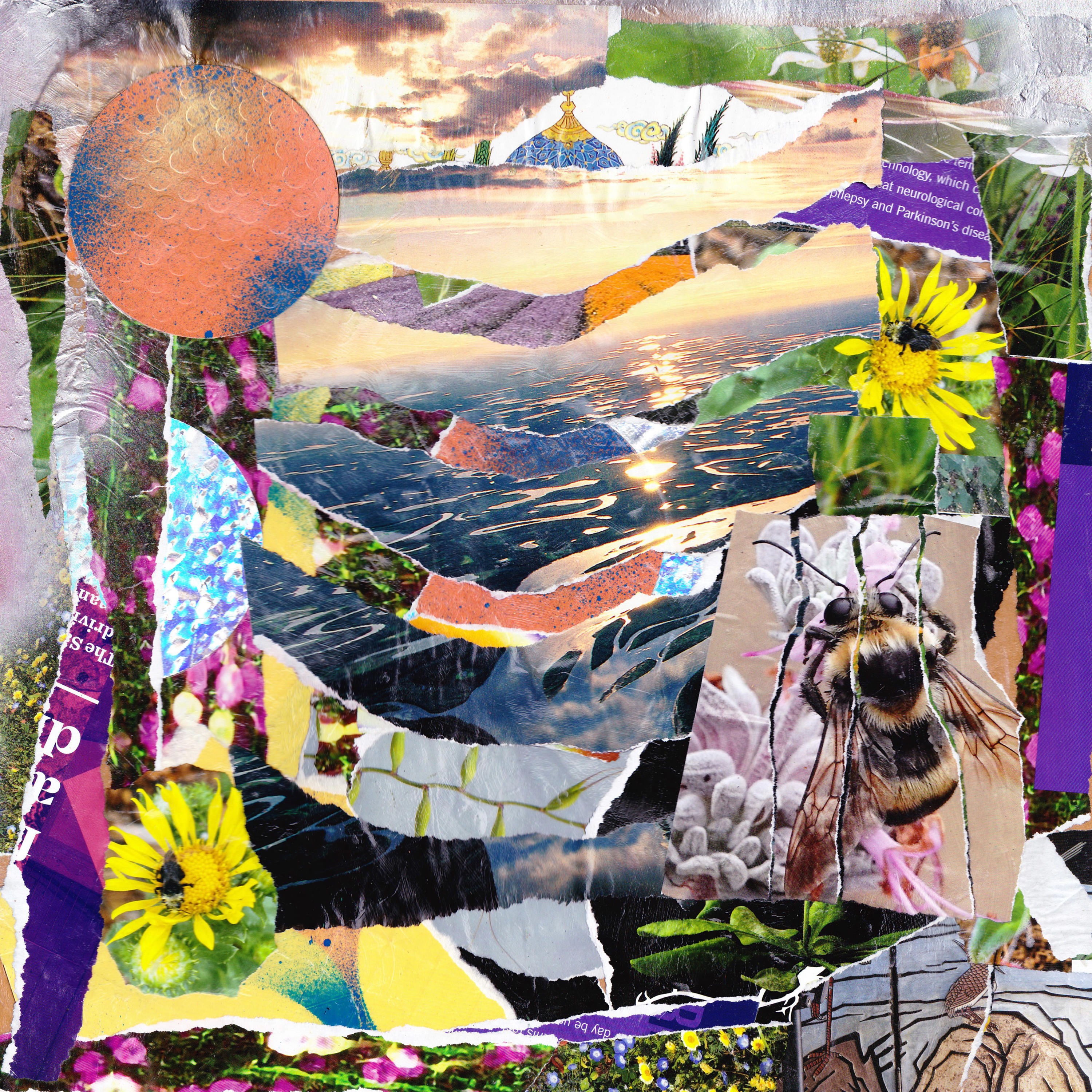 Sampling With Franny album cover