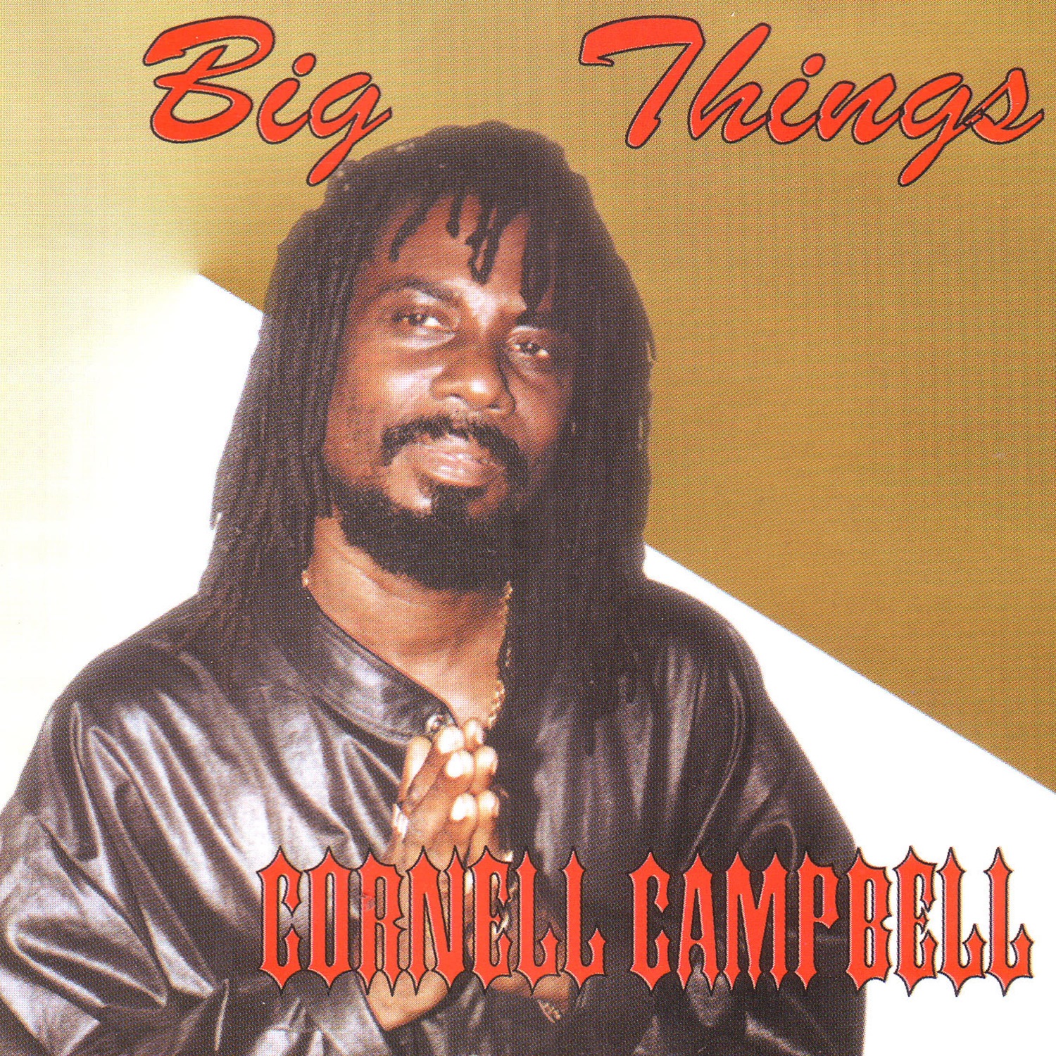 Big Things album cover