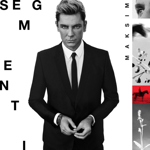 Segmenti album cover