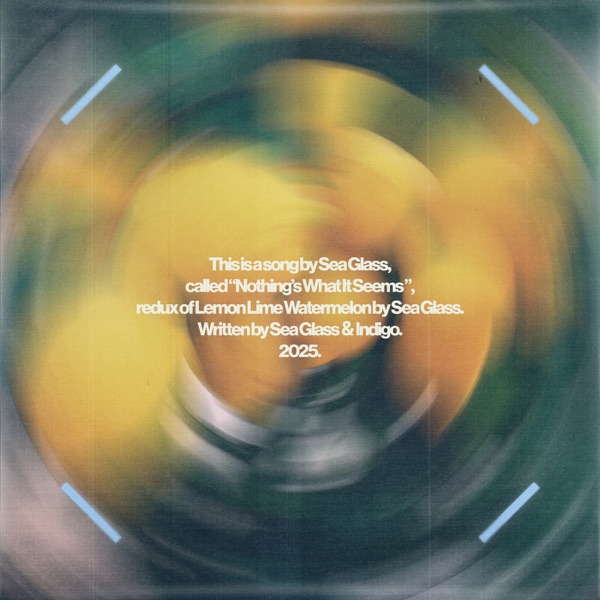 Nothing's What It Seems (Lemon Lime Watermelon Redux) - Single album cover