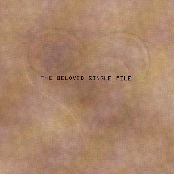 Single File album cover