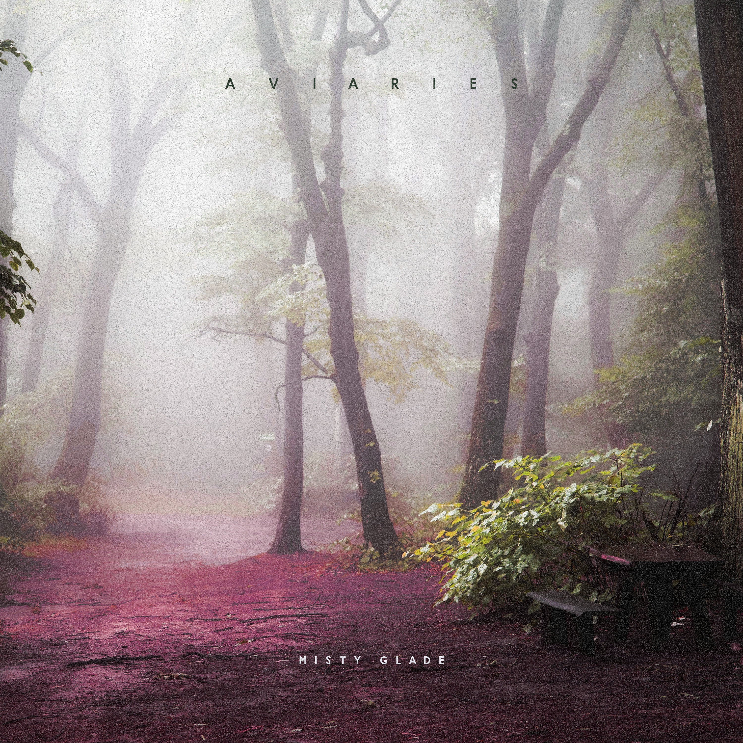 Misty Glade - Single album cover